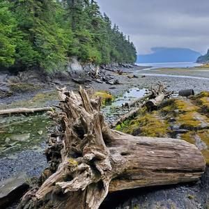 Meet your Posher, Hugh